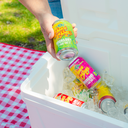 Delta-9 THC Seltzer - Mango Fizz  (6-pack, 5 mg each)