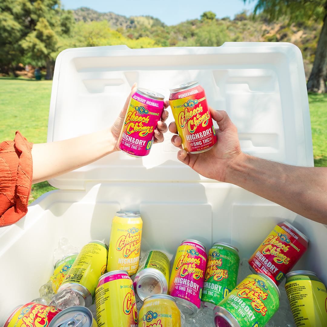 Delta-9 THC Seltzer - Raspberry Highball (6-pack, 5 mg each)